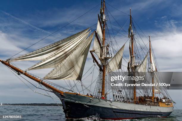 low angle view of sailboat sailing on sea against sky - windjammer stock-fotos und bilder