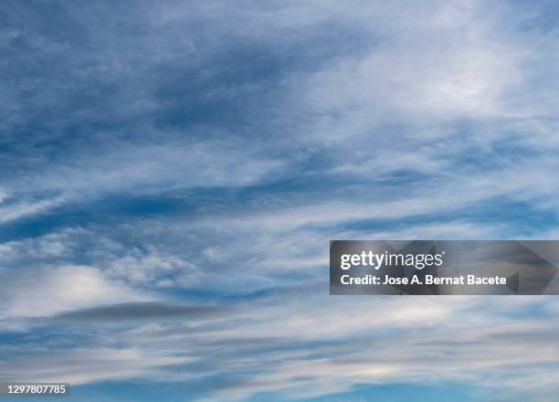 full frame of the low angle view of white color clouds  with a blue sky. - 高層雲 個照片及圖片檔
