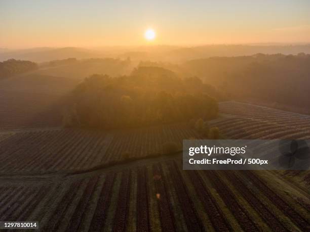 scenic view of agricultural field against sky during sunset - ブルゴーニュ　harvest wine ストッ��クフォトと画像