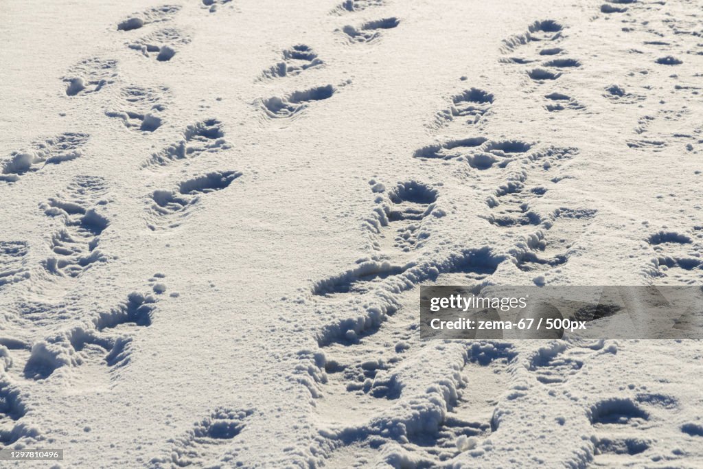High angle view of footprints on sand