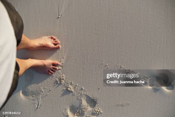 crop faceless barefoot man standing on sandy beach - looking down at feet stock pictures, royalty-free photos & images