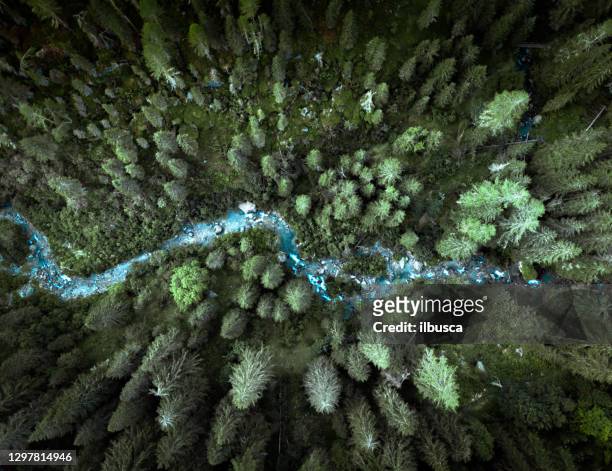 drohnenblick auf die italienischen alpen - river aerial stock-fotos und bilder