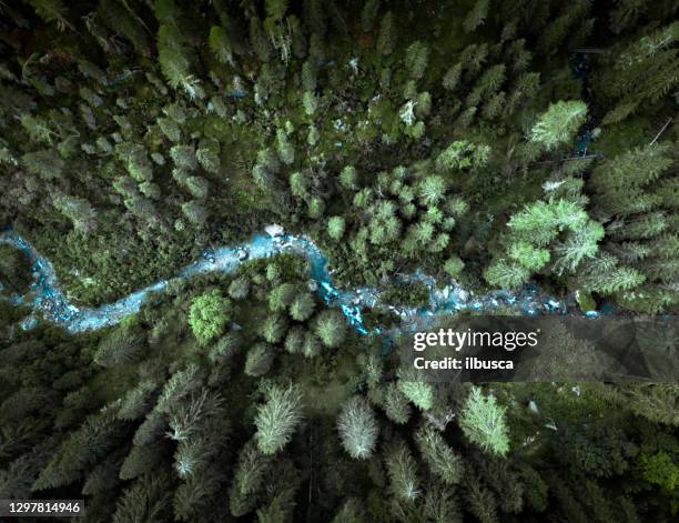 drone view on the italian alps - meadow brook imagens e fotografias de stock