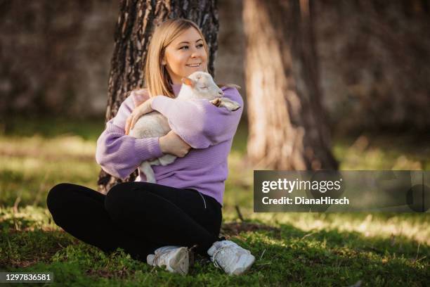 mooie blonde vrouw in toevallige kleding die van haar pasgeboren lam geniet - lam dier stockfoto's en -beelden
