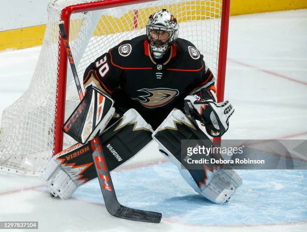 Goaltender Ryan Miller of the Anaheim Ducks tends net during the third period of the game against the Minnesota Wild at Honda Center on January 20,...
