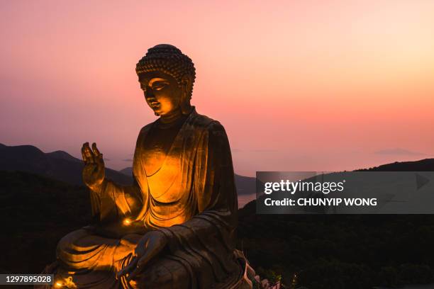 tian tan boeddha, ook bekend als de grote boeddha. hongkong, china. - boeddha stockfoto's en -beelden