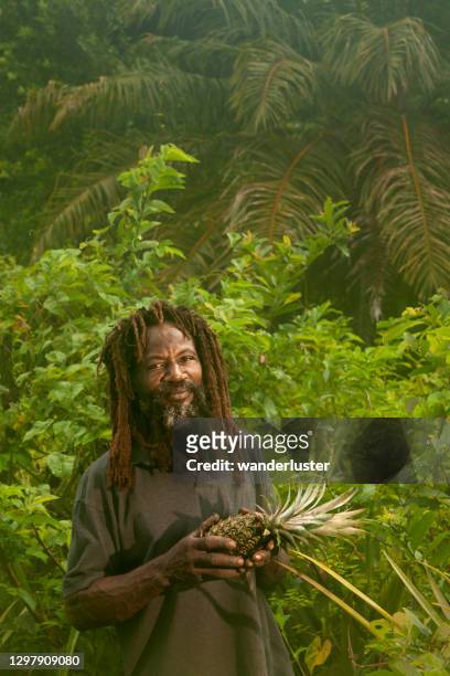pineapple farmer - dominica stock pictures, royalty-free photos & images