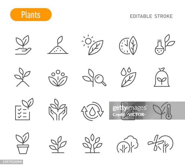 stockillustraties, clipart, cartoons en iconen met plantenpictogrammen - lijnreeks - bewerkbare lijn - plant hand