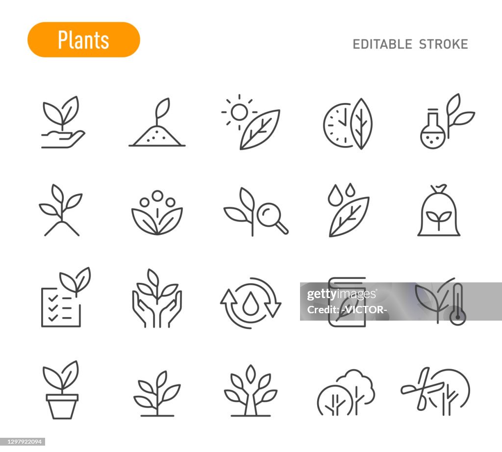 Ícones das plantas - Série de linhas - Traçado Editável