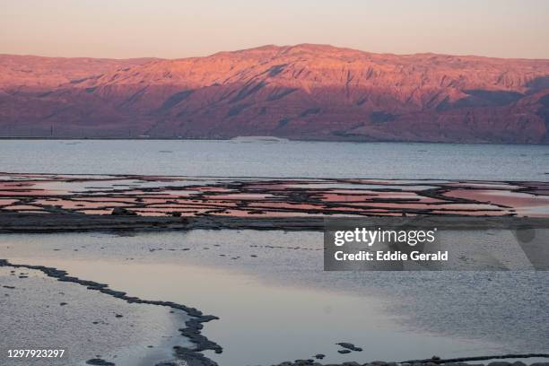 the dead sea in israel - mer morte photos et images de collection