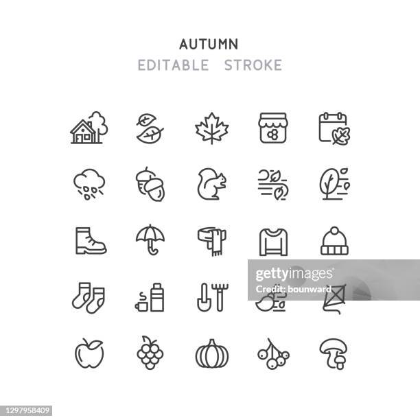 ilustraciones, imágenes clip art, dibujos animados e iconos de stock de pinceles de línea de otoño trazo editable - autumn leaf color