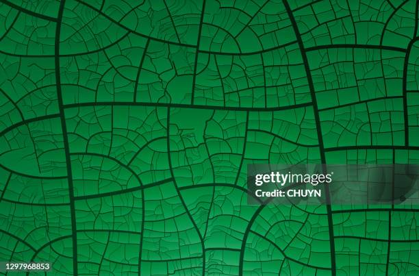 green crackle - leaf vein stock illustrations