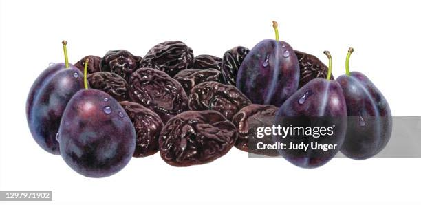 2 253点のプルーンのストックフォト Getty Images 2 253点のプルーンのストックフォト Getty Images