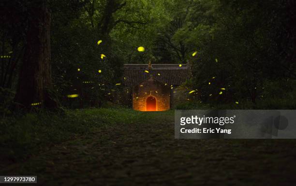 fireflies flying in front of a temple at night - firefly stock pictures, royalty-free photos & images