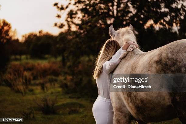 blond young woman from behind embracing her white horse in nature - behind the green horse stock pictures, royalty-free photos & images