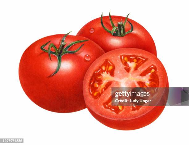 ilustrações de stock, clip art, desenhos animados e ícones de tomatoes and half - ramo parte de uma planta
