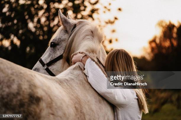 portrait of a blond young woman from behind embracing her white horse in nature - horse stock pictures, royalty-free photos & images