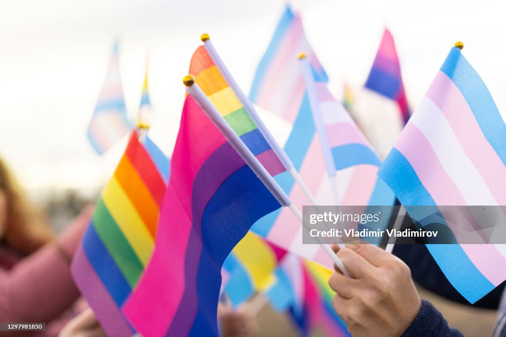 Diversas banderas LBGTQi