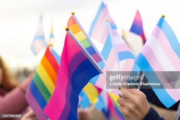 diverse lbgtqi vlaggen - lgbt stockfoto's en -beelden