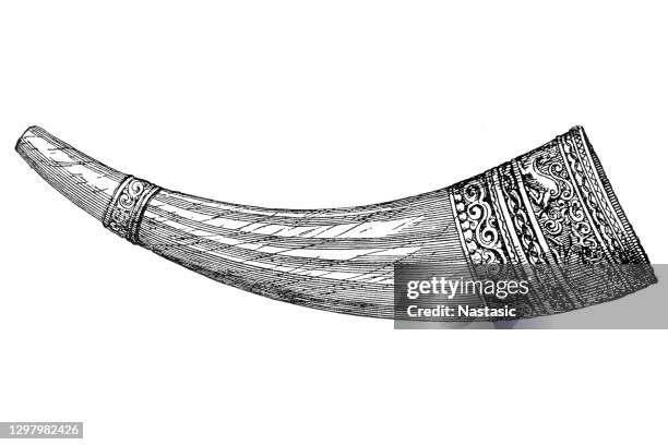 ivory horn (olifant) of charlemagne, in the treasure of aachen cathedral - hirn stock illustrations