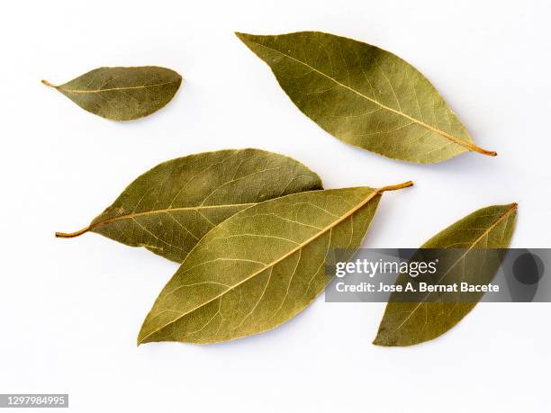 close-up of dried bay leave for cooking on a white background. - lorbeerblatt stock-fotos und bilder