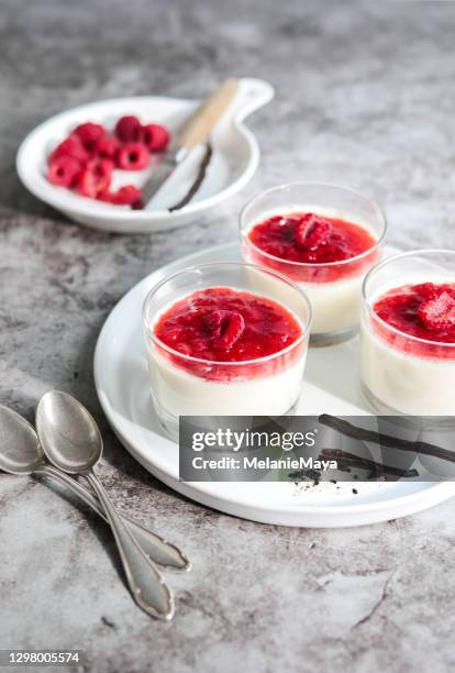 panna cotta dessert - raspberry foto e immagini stock