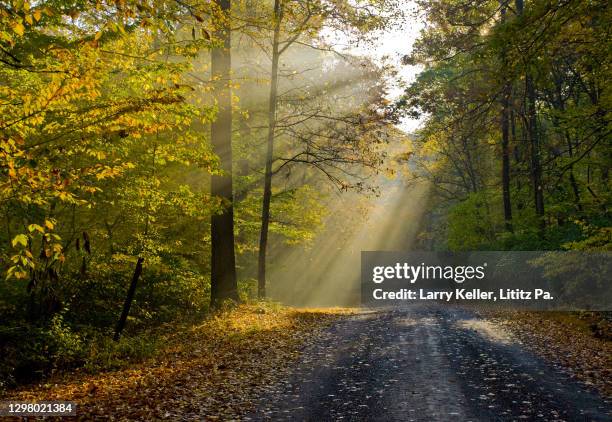 country road in fall with sun beams - pennsylvania ストックフォトと画像