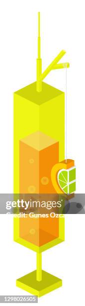 isometric vaccine - vitamin c shot - immune system boost - lemon lime background stock illustrations
