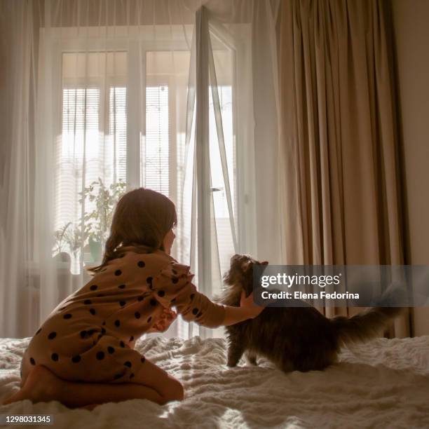 a little girl plays with her pet cat. - girls cuddling cat stock pictures, royalty-free photos & images