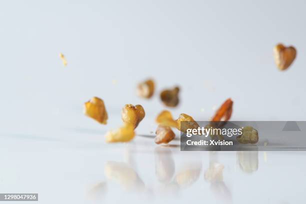 tartary buckwheat flying in mid air in white background - tartary buckwheat stock pictures, royalty-free photos & images