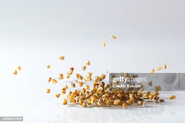 tartary buckwheat flying in mid air in white background - tartary buckwheat stock pictures, royalty-free photos & images