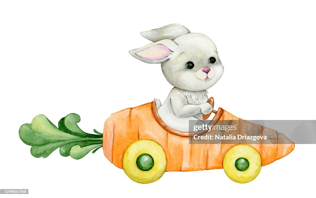 Cartoon Riding Rabbit Cute Rabbit Riding In A Car A Watercolor Concept On An Isolated ...