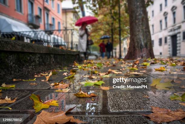 an alley in udine on a rainy autumn day: leaves on the wet sidewalk and passers-by with raincoat and umbrella - stad centrum italie stockfoto's en -beelden