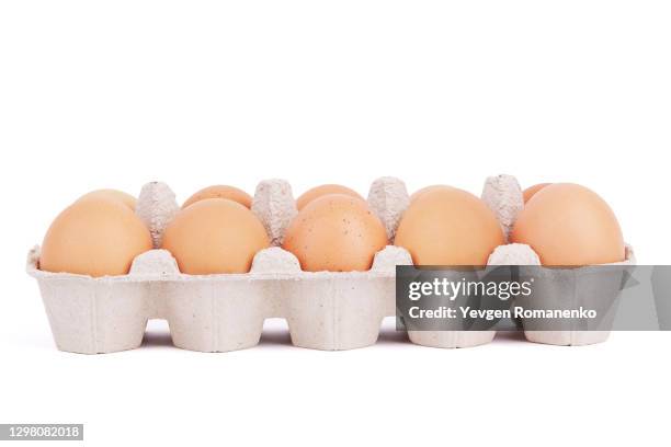 eggs in cardboard packaging isolated on white background - äggkartong bildbanksfoton och bilder