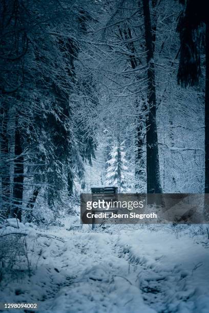 hunting chair in the forest - bank im freien winter stockfoto's en -beelden