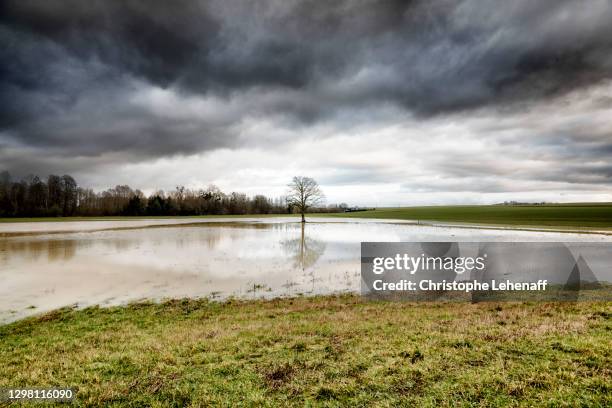 floods in seine et marne, france - cheese making france stock pictures, royalty-free photos & images
