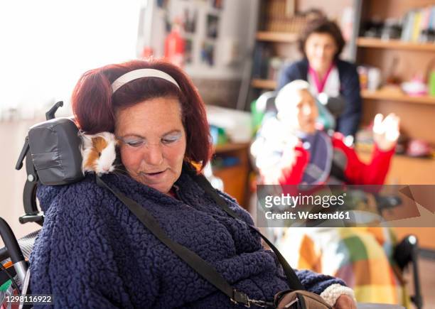 mature disabled woman with guinea pig sitting on wheelchair at rehabilitation center - promises rehab center bildbanksfoton och bilder