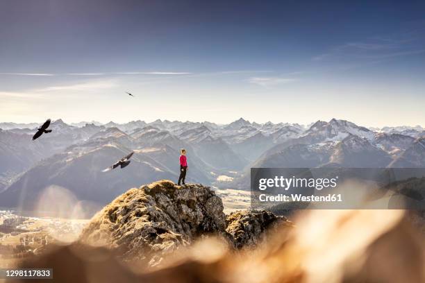 sportswoman looking at view while standing on aggenstein mountain at bavaria, germany - focus on background bildbanksfoton och bilder