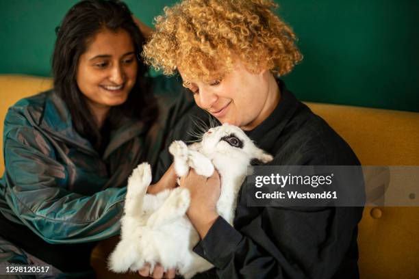 Lgbt Rabbits 45 Rabbits Gay Stock Photos, High-Res Pictures, and Images - Getty Images