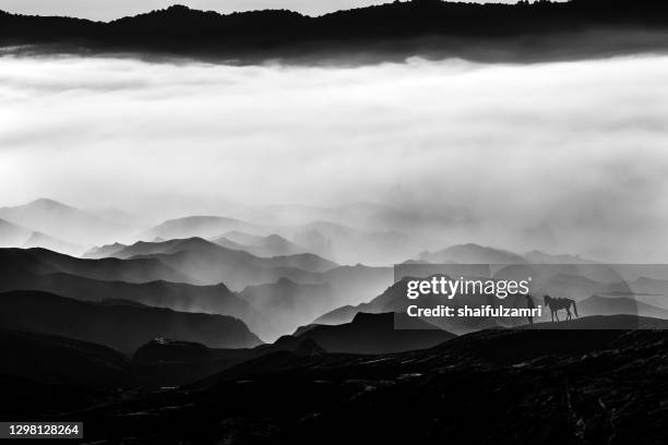 silhouette of unidentified local people or bromo horseman at mountainside of mount bromo. - cheval noir photos et images de collection