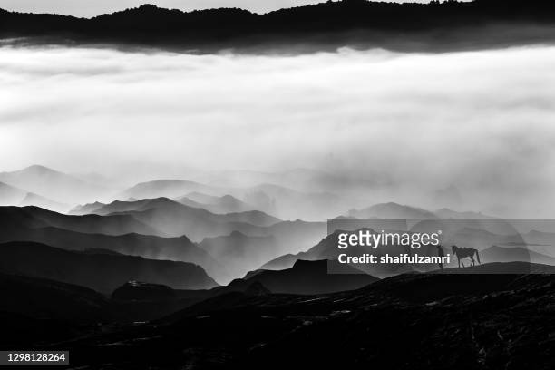 silhouette of unidentified local people or bromo horseman at mountainside of mount bromo. - black and white landscape stock pictures, royalty-free photos & images