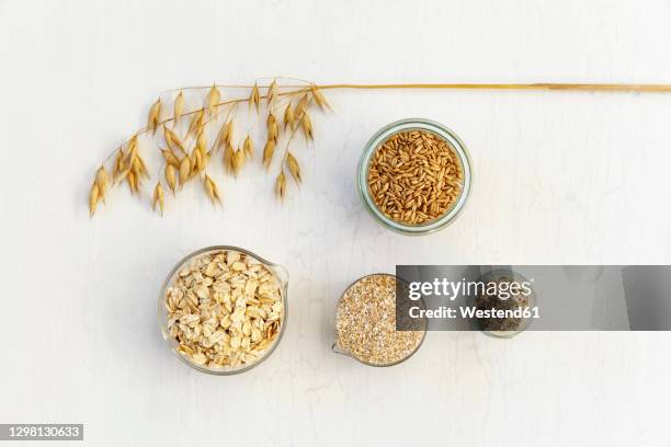 studio shot of bowls and jars of fresh oats - breakfast ingredients stock pictures, royalty-free photos & images