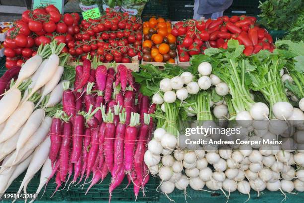 radish vegetable - mainz germany stock pictures, royalty-free photos & images