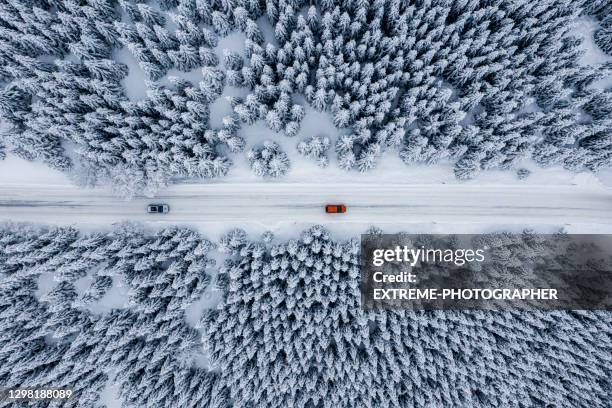 forêt de sapin et une route couverte de neige vue d’une perspective de drone - route sapin neige photos et images de collection