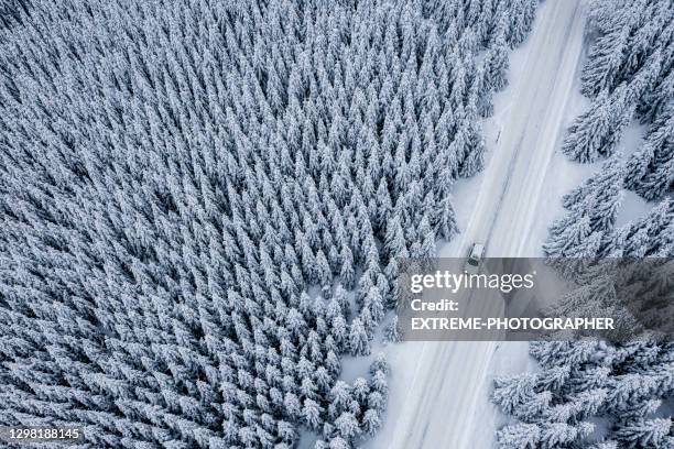 point de vue de drone sur la route couverte de neige au milieu de la forêt - route sapin neige photos et images de collection