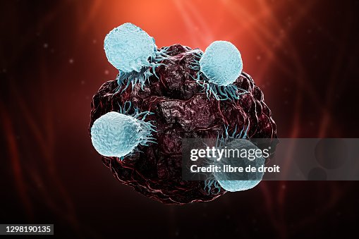 White blood cells or T lymphocytes or natural killer T attack a cancer or tumor or infected cell 3D rendering illustration. Oncology, immune system, biomedical, medicine, science, biology concepts. White blood cells or T lymphocytes or natural killer T attack a cancer or tumor or infected cell 3D rendering illustration. Oncology, immune system, biomedical, medicine, science, biology concepts.