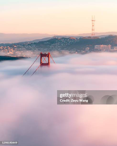 golden gate bridge low fog - california landscape stock-fotos und bilder