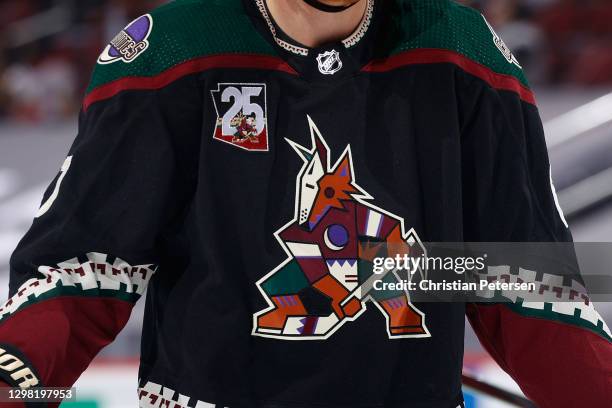 Detail of the Arizona Coyotes logo during the NHL game against the Vegas Golden Knights at Gila River Arena on January 22, 2021 in Glendale, Arizona....