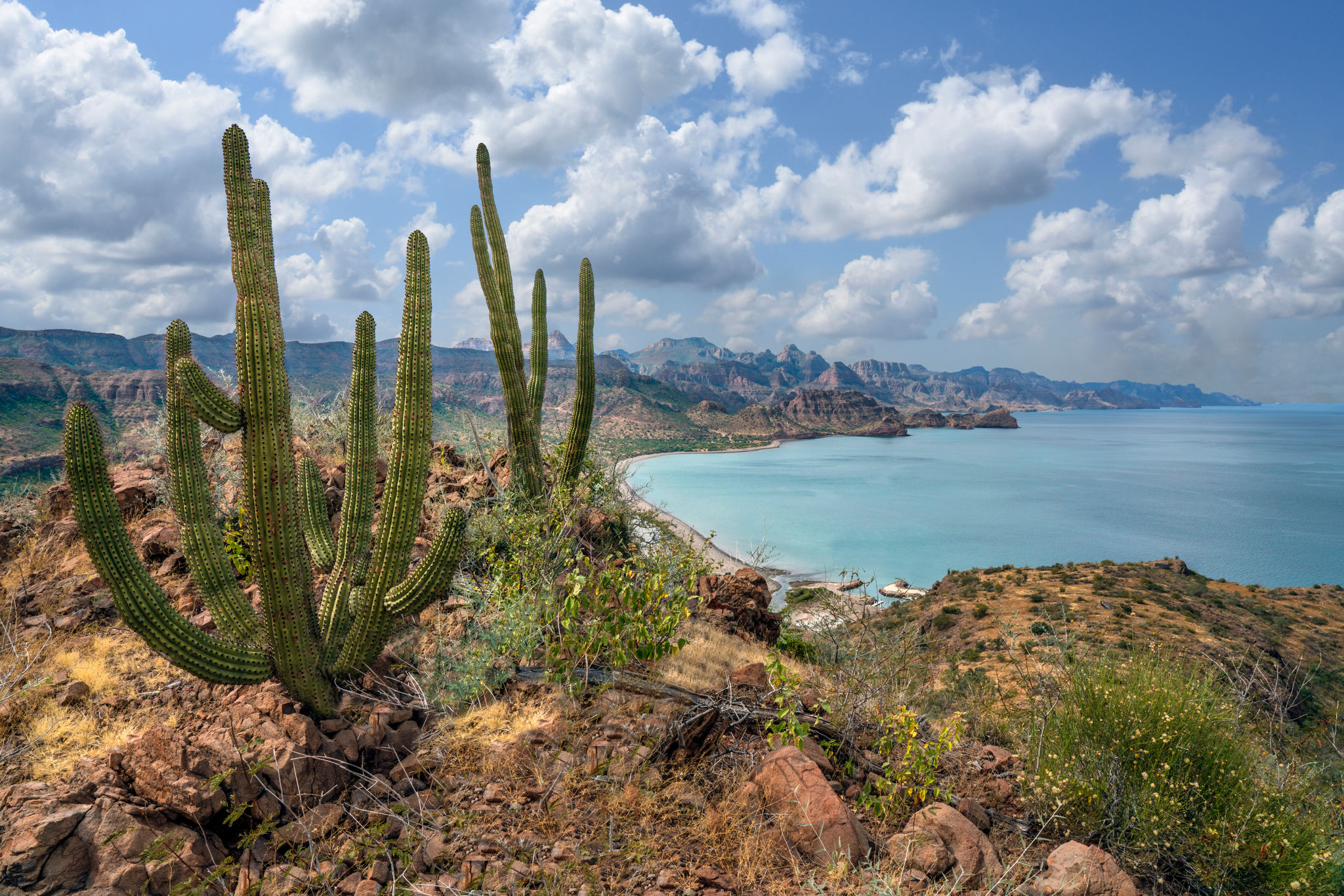 baja california