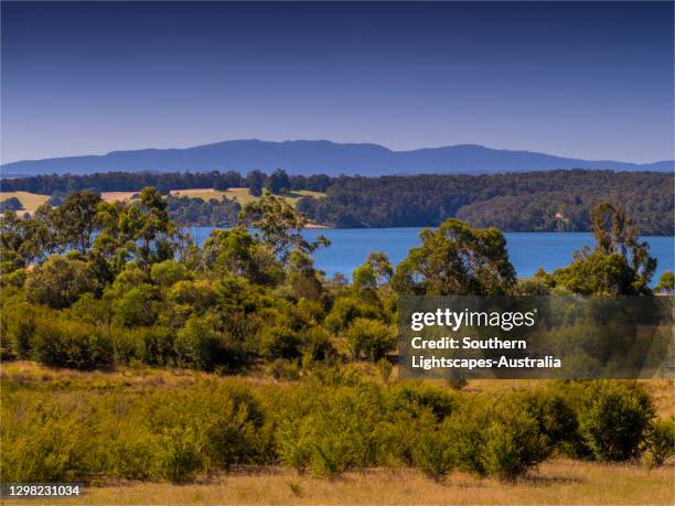 blue rock dam, a scenic location near the town of moe in central gippsland, victoria. - gippsland lakes stock pictures, royalty-free photos & images